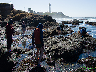 hi pigeon point lighthouse tidepools